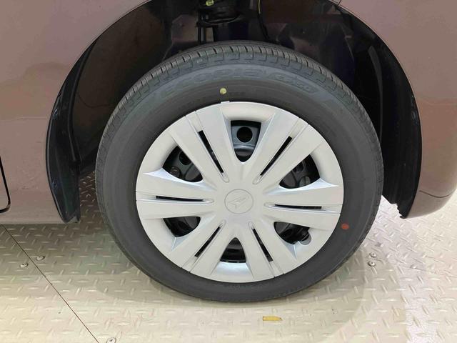 タントＸ（北海道）の中古車