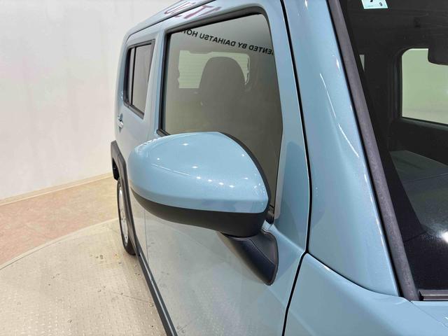 タフトＧターボ　クロムベンチャー（北海道）の中古車