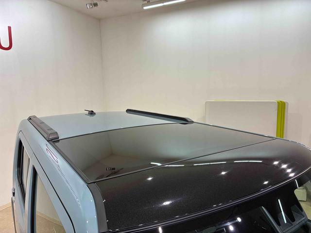 タフトＧターボ　クロムベンチャー（北海道）の中古車