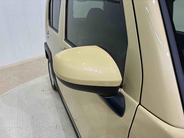 タフトＧ　クロムベンチャー（北海道）の中古車