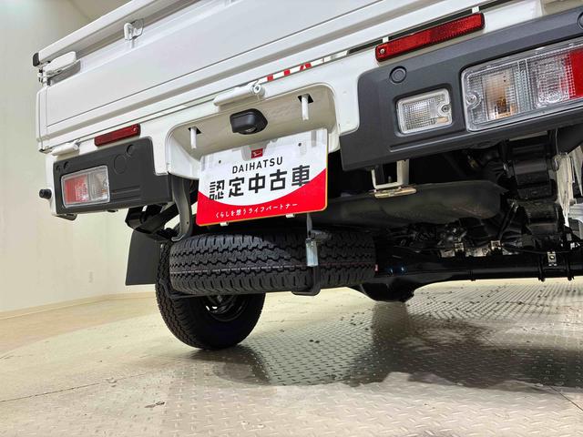 ハイゼットトラックジャンボエクストラ（北海道）の中古車