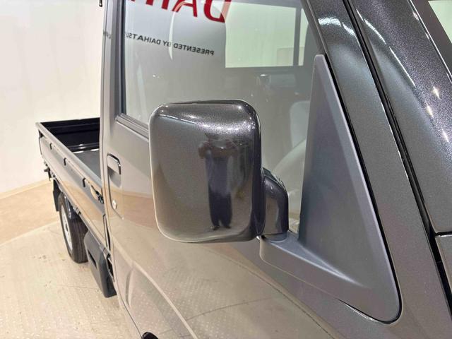 ハイゼットトラックスタンダード（北海道）の中古車
