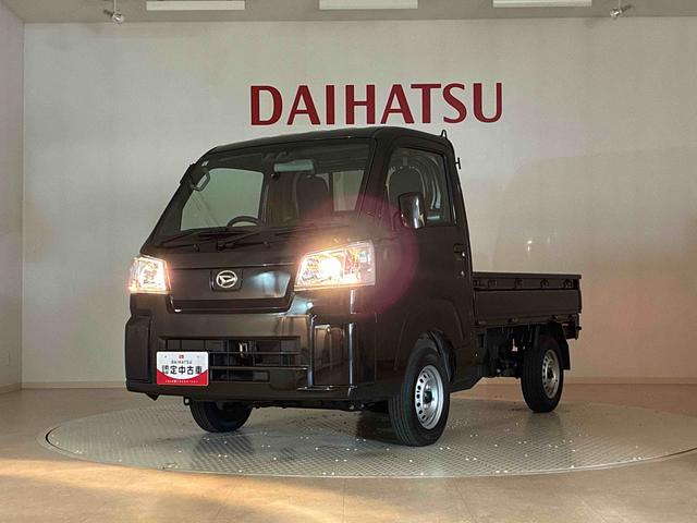 ハイゼットトラックスタンダード（北海道）の中古車