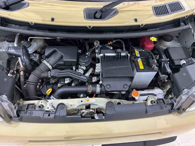 タフトＧターボ４ＷＤ　サンルーフ　アルミホイール　シートヒーター　ターボ　アイドリングストップ　オートマチックハイビーム　衝突防止システム　ＬＥＤヘッドランプ　レーンアシスト　スマートキー　記録簿　ワンオーナー（北海道）の中古車