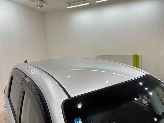 ポルテＸ（北海道）の中古車