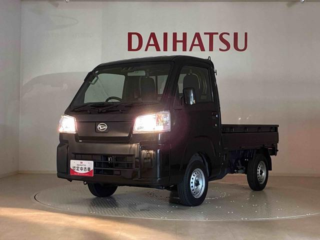 ハイゼットトラックスタンダード（北海道）の中古車