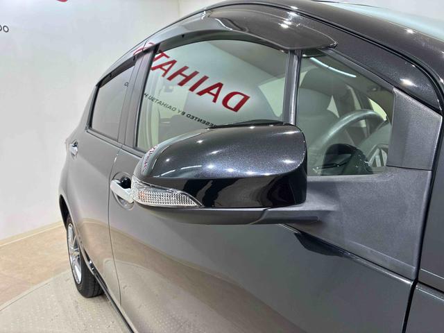 ヴィッツ１．３Ｆ　ＬＥＤエディション（北海道）の中古車
