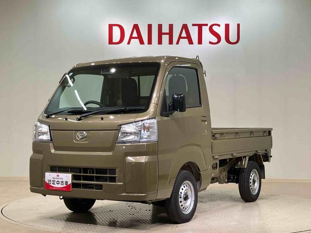 ハイゼットトラックスタンダード(北海道)の中古車