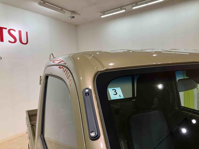 ハイゼットトラックスタンダード(北海道)の中古車