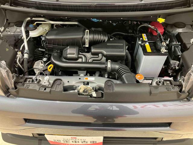 タフトX(北海道)の中古車