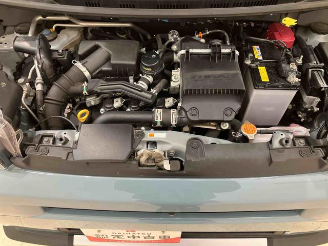 タフトGターボ クロムベンチャー(北海道)の中古車