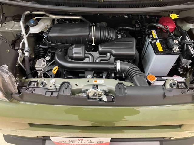 タフトＧ　ダーククロムベンチャー（北海道）の中古車