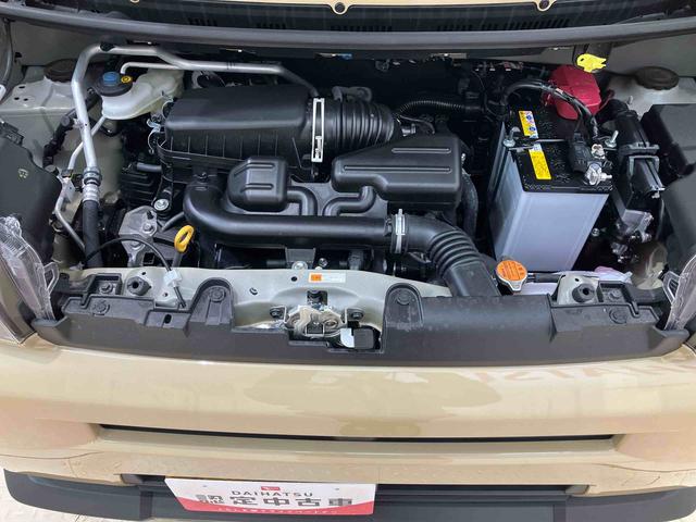 タフトX(北海道)の中古車