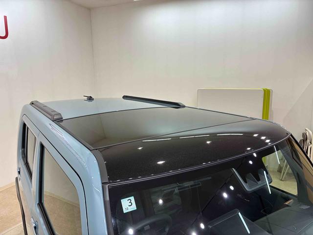 タフトG(北海道)の中古車