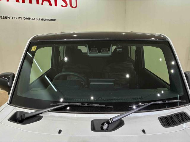 タフトＧ　ダーククロムベンチャー（北海道）の中古車