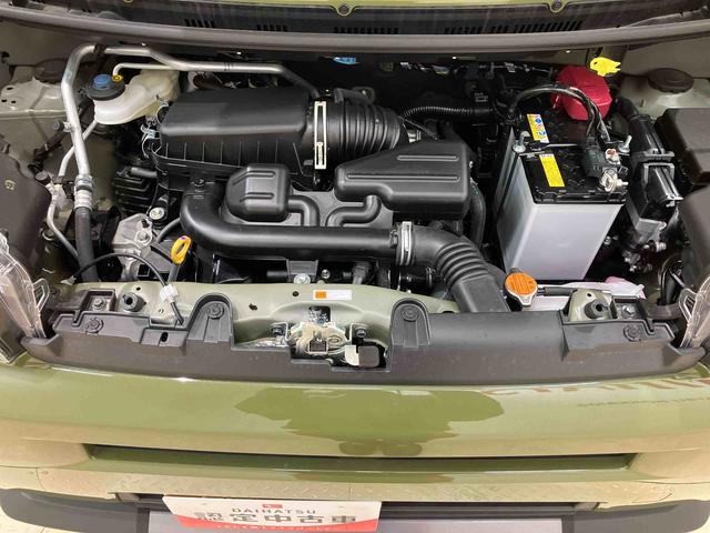 タフトＧ　ダーククロムベンチャー（北海道）の中古車