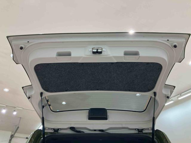 タフトＧ　ダーククロムベンチャー（北海道）の中古車