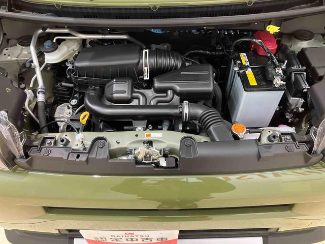 タフトＧ　クロムベンチャー（北海道）の中古車