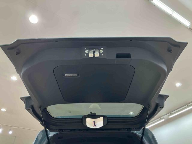 ウェイクＧターボ　レジャーエディションＳＡIII（北海道）の中古車