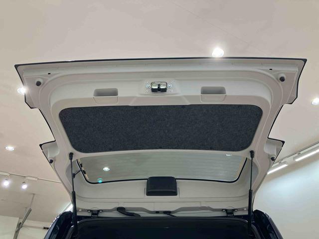 タフトＧ　ダーククロムベンチャー（北海道）の中古車