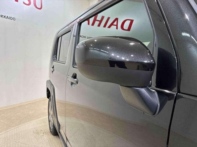 タフトＧターボ　ダーククロムベンチャー（北海道）の中古車