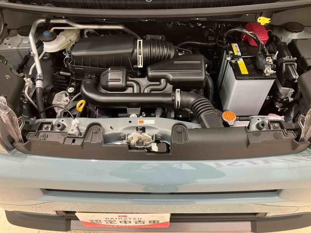 タフトＧ　ダーククロムベンチャー（北海道）の中古車