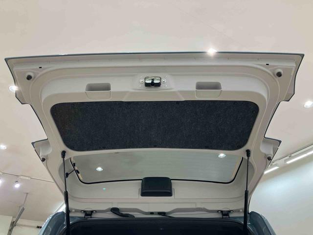 タフトＧ　ダーククロムベンチャー（北海道）の中古車