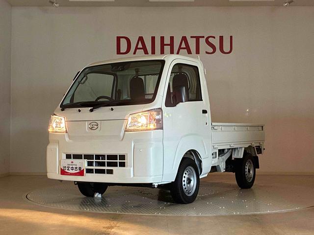ハイゼットトラックスタンダード（北海道）の中古車