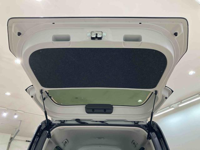 タントＸ（北海道）の中古車