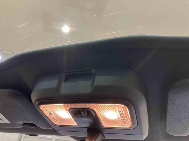 タフトＧ　クロムベンチャー（北海道）の中古車