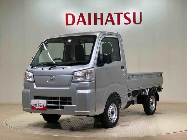ハイゼットトラックスタンダード（北海道）の中古車