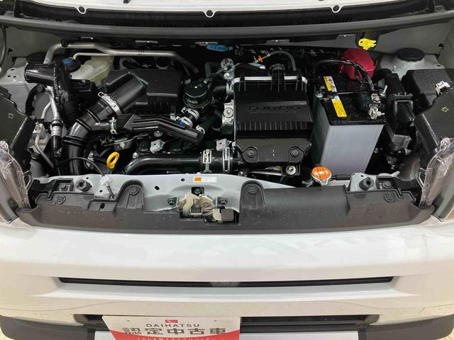 タフトＧターボ　クロムベンチャー（北海道）の中古車