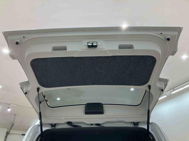 タフトＧターボ　クロムベンチャー（北海道）の中古車