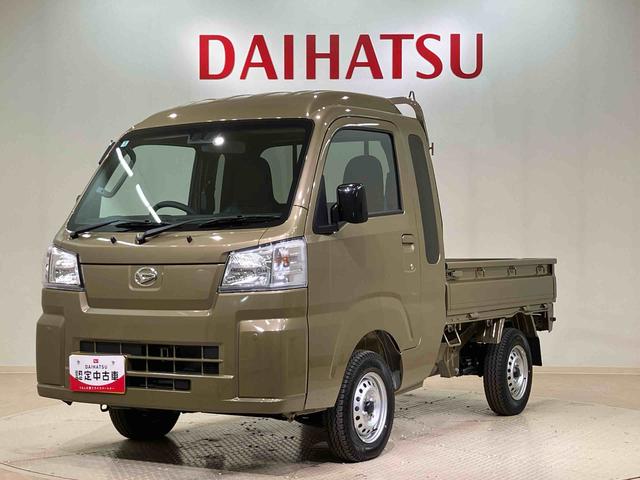 ハイゼットトラックジャンボスタンダード（北海道）の中古車