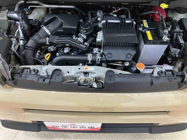 タフトＧターボ（北海道）の中古車