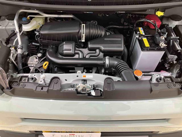 タフトＧ　ダーククロムベンチャー（北海道）の中古車