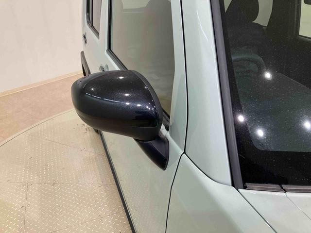 タフトＧ　ダーククロムベンチャー（北海道）の中古車