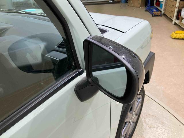 タフトＧ　ダーククロムベンチャー（北海道）の中古車