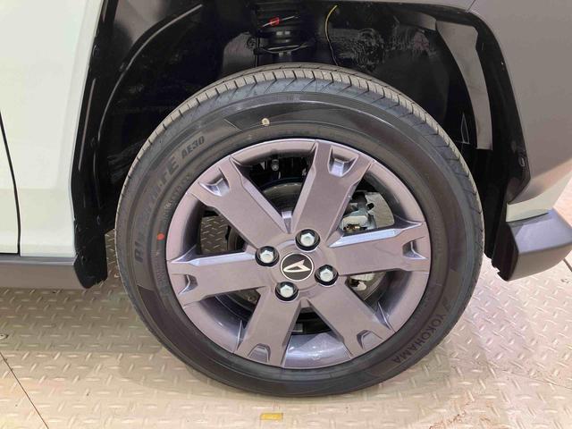 タフトＧ　ダーククロムベンチャー（北海道）の中古車