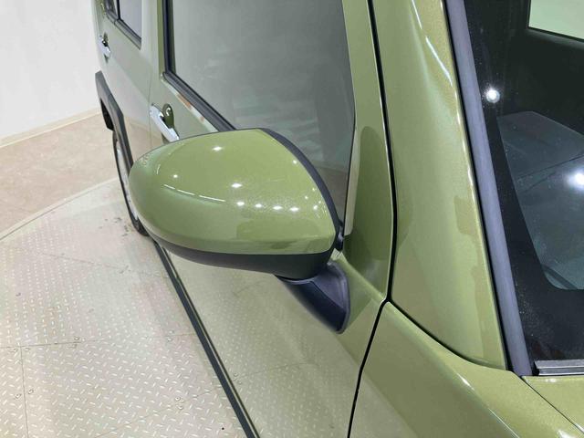 タフトＧ　クロムベンチャー（北海道）の中古車