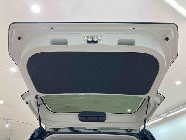 タントＸ（北海道）の中古車