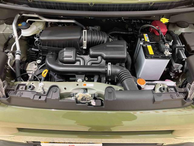 タフトＧ　ダーククロムベンチャー（北海道）の中古車