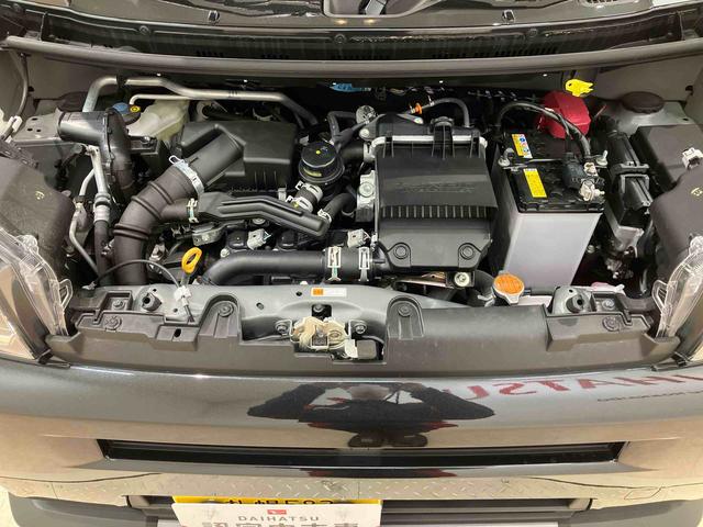 タフトＧターボ　ダーククロムベンチャー（北海道）の中古車