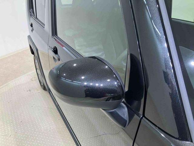 タフトＧターボ　ダーククロムベンチャー（北海道）の中古車