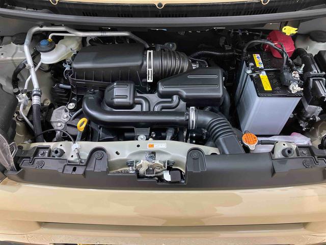 タフトＧ　クロムベンチャー（北海道）の中古車