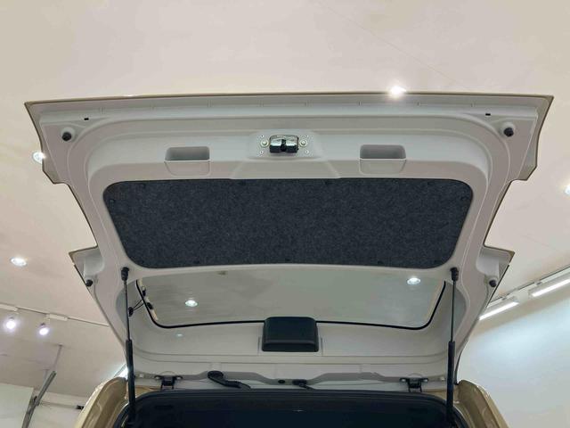 タフトＧ　クロムベンチャー（北海道）の中古車