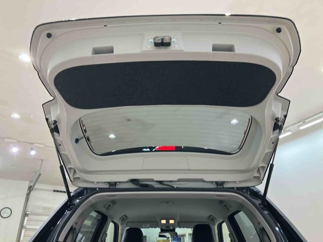 ロッキープレミアムＧ（北海道）の中古車