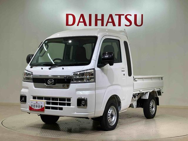 ハイゼットトラックジャンボエクストラ（北海道）の中古車