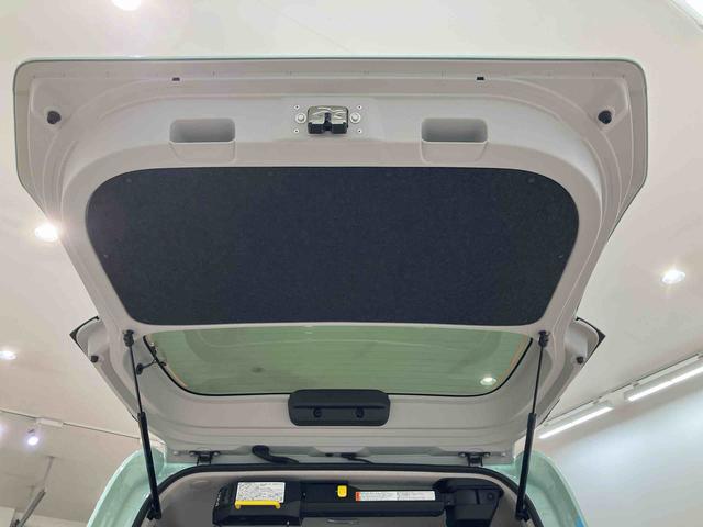 タントウェルカムターンシートX(北海道)の中古車