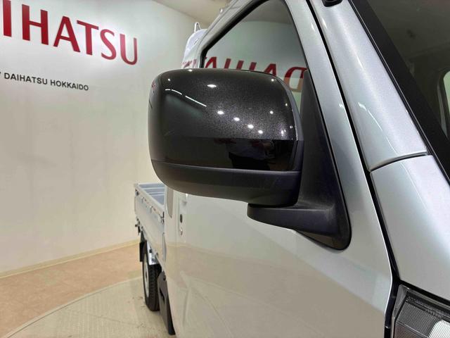 ハイゼットトラックジャンボエクストラ(北海道)の中古車